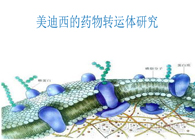 龙8唯一官网的药物转运体研究