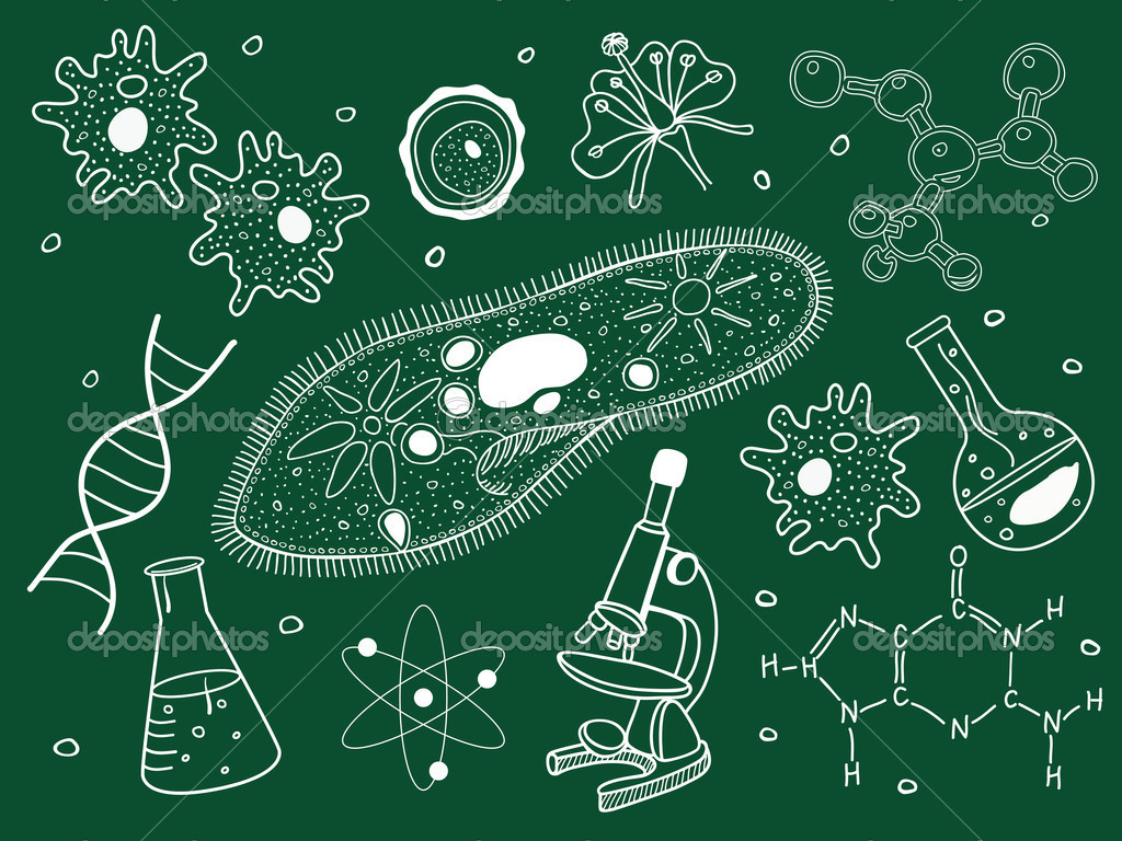 Nature：科学家找到杀死抗药细菌的新靶点