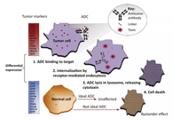 浅析：ADC药物的抗癌之路