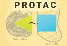 热点前沿:PROTAC初露锋芒，SD-36对抗肿瘤效果卓越