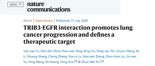 Nature|非小细胞肺癌治疗新方案：靶向降解EGFR