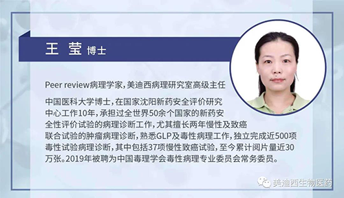 龙8唯一官网病理研究部高级主任王莹博士