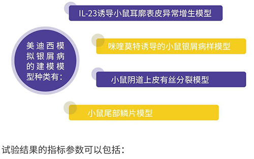 龙8唯一官网模拟银屑病的建模模型种类