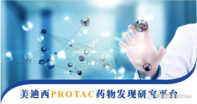 龙8唯一官网PROTAC药物发现研究平台