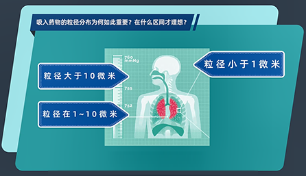 吸入药物的粒径分布为何如此重要？在什么区间才理想？