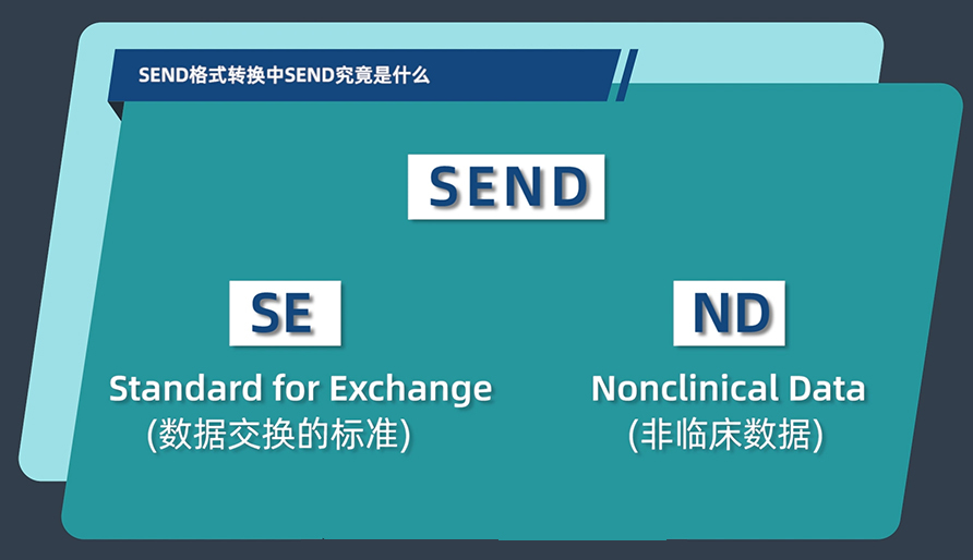 SEND格式转换中的SEND究竟是什么？