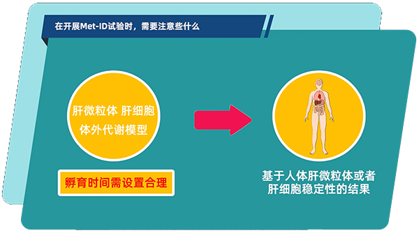 肝微粒体、肝细胞体外代谢模型中，孵育时间需设置合理.jpg