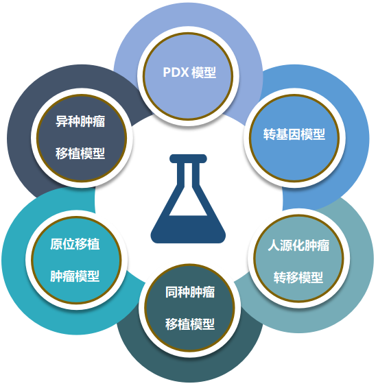 龙8唯一官网致力于为客户提供成熟的评估ADC体内药效的肿瘤模型.png