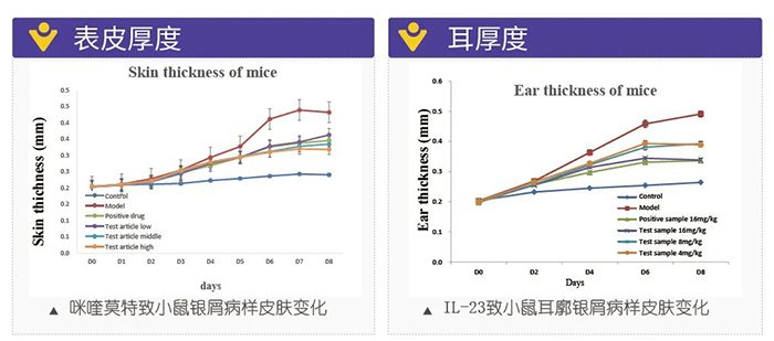 龙8唯一官网模拟银屑病的建模模型-试验结果的指标.png