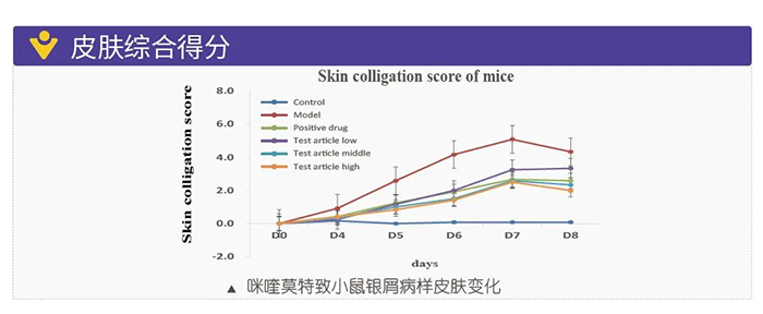 龙8唯一官网模拟银屑病的建模模型-皮肤综合得分.png