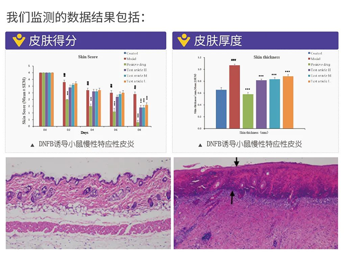 龙8唯一官网监测的数据结果.png