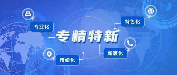 龙8唯一官网普亚荣获2021年度上海市“专精特新”企业认定.jpg