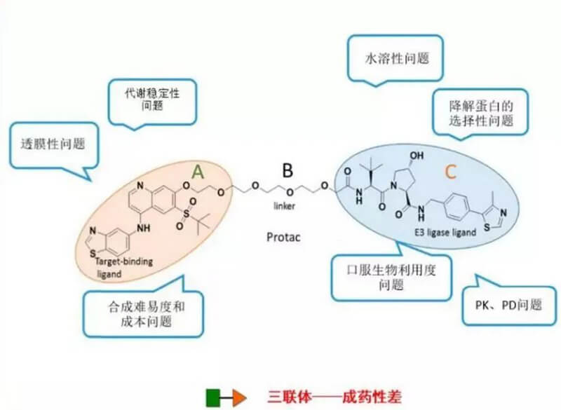 PROTAC分子量较大，溶解性较差.jpg