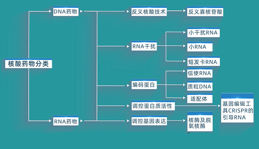 核酸药物的分类有哪些？