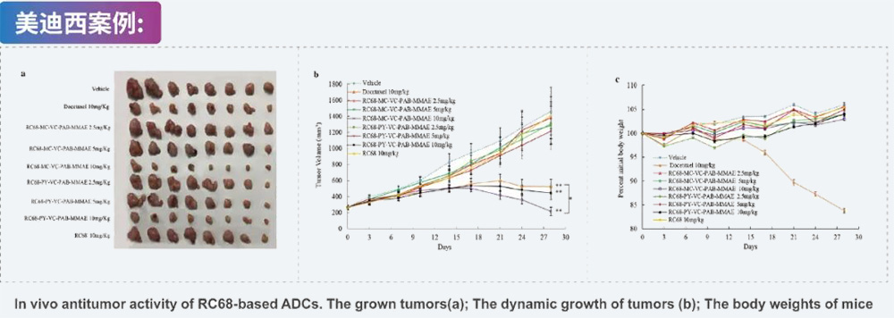 8-ADC药效学评价-龙8唯一官网案例.jpg