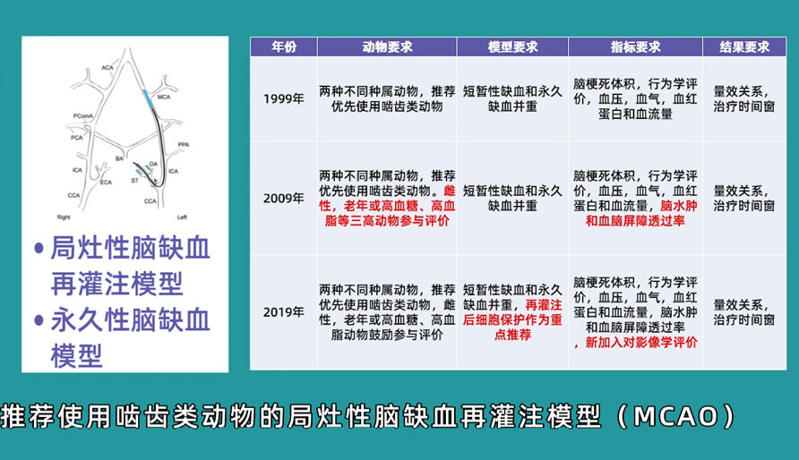 袁云云博士：啮齿类动物脑卒中疾病药效成药性评价系统（2）.jpg