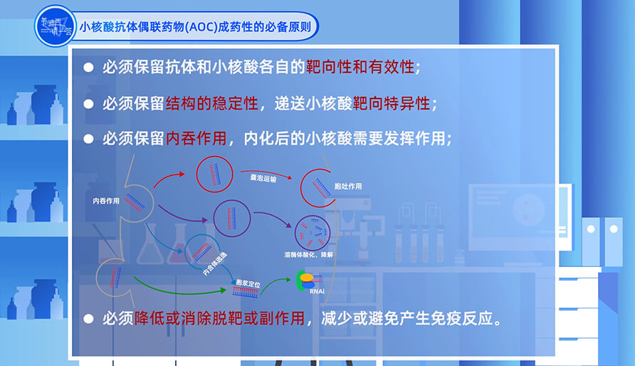 小核酸抗体偶联药物（AOC）成药性的必备原则？