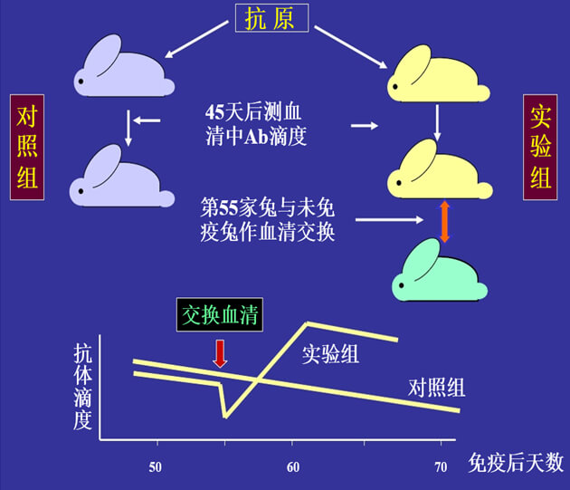 Figure-1：机体对抗体浓度变化的感知与反馈性自我调节.jpg