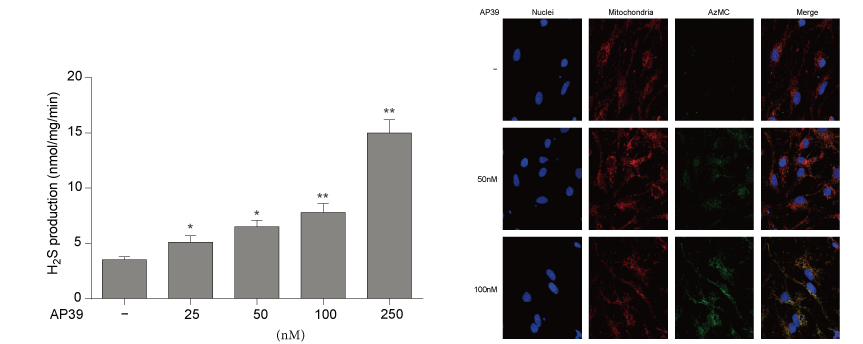 AP39是一种新合成的线粒体靶向的H2S供体，本研究中AP39通过龙8唯一官网设计和合成