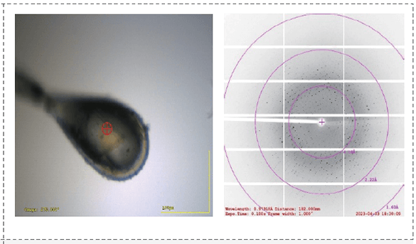 共晶的X射线衍射数据.png