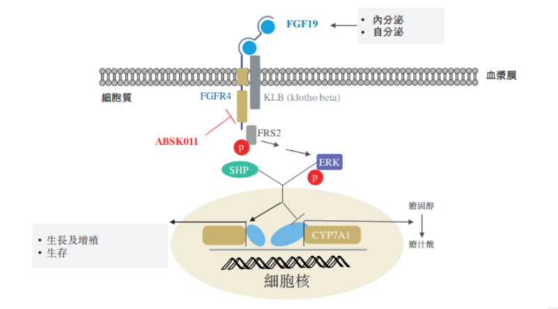 图源：公开资料.jpg