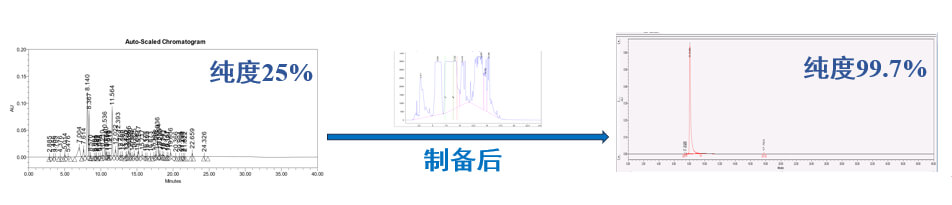 案例一：仿制药发补：大极性杂质制备.jpg