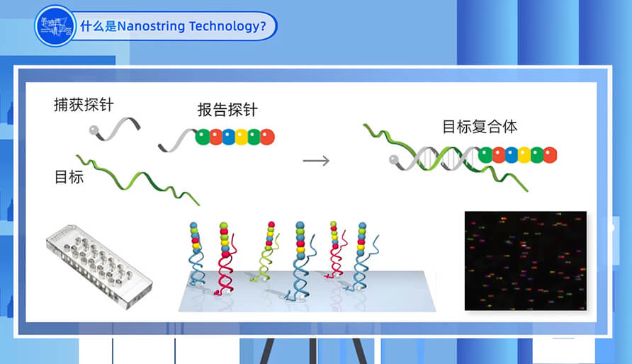 什么是Nanostring 技术？