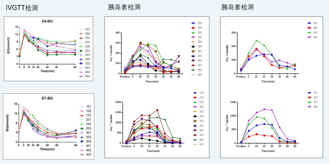 案例4：食蟹猴IVGTT和胰岛素检测实验.jpg