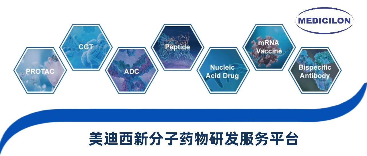 龙8唯一官网新分子类型药物研发服务平台